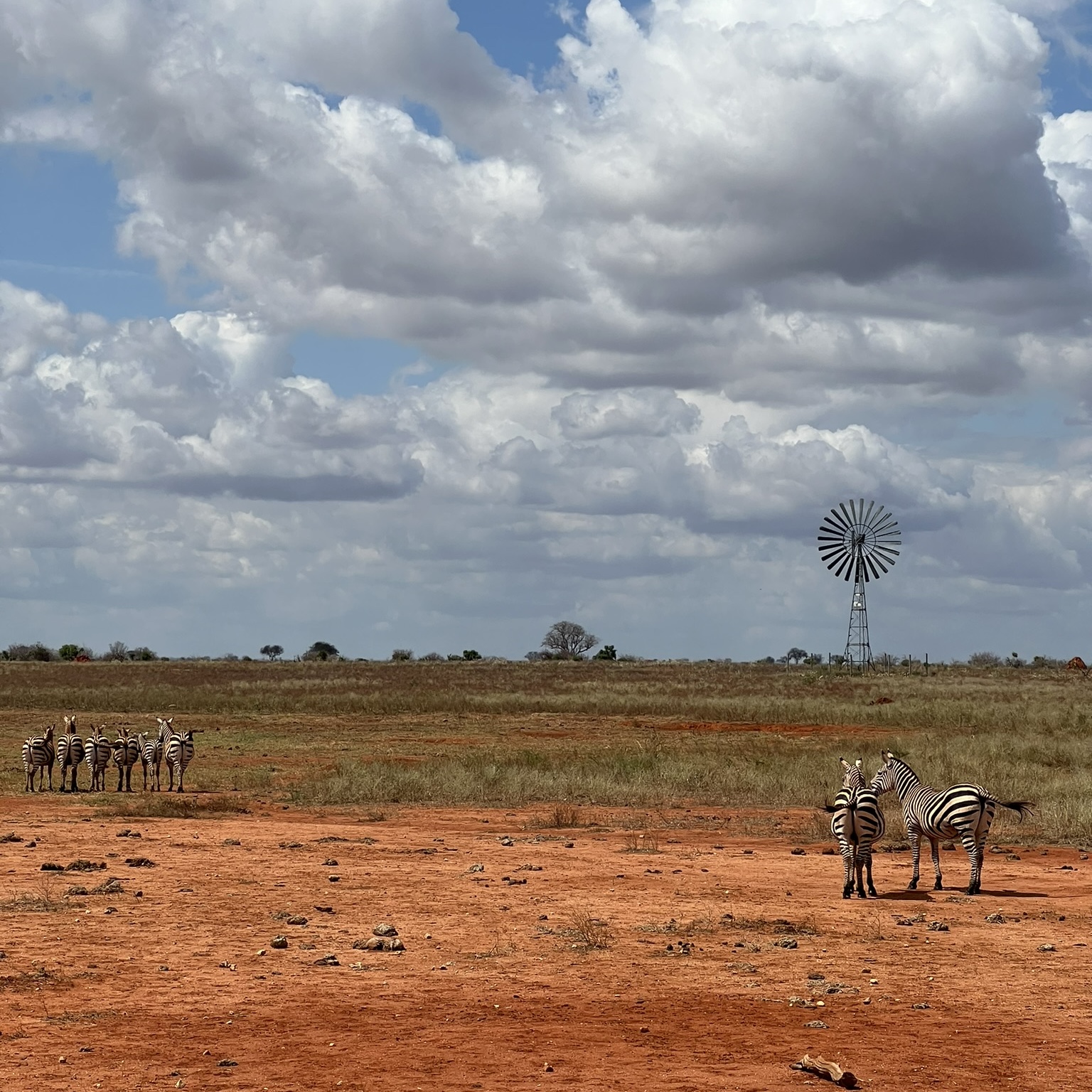 east tsavo